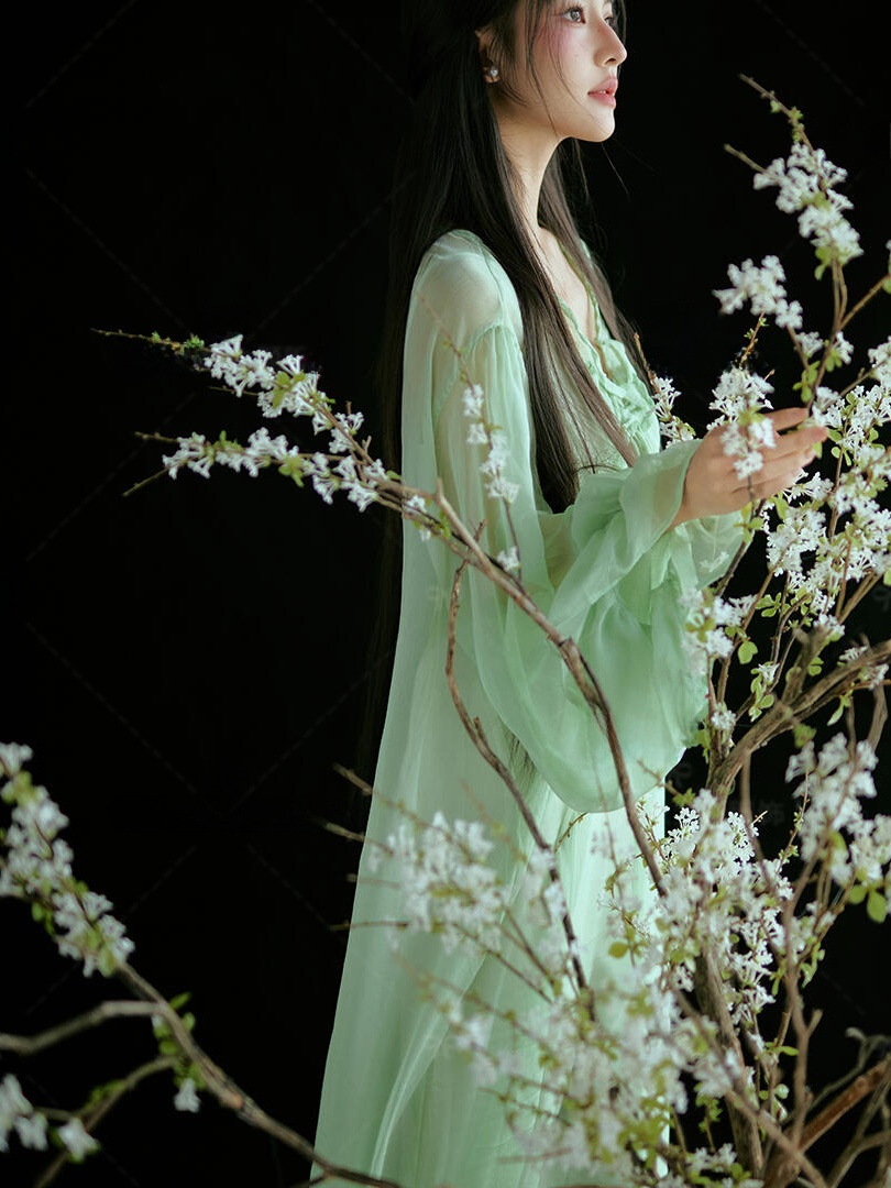 Groene jurk in Chinese stijl T - Ethnic Fashion Studio recensie en prijs
