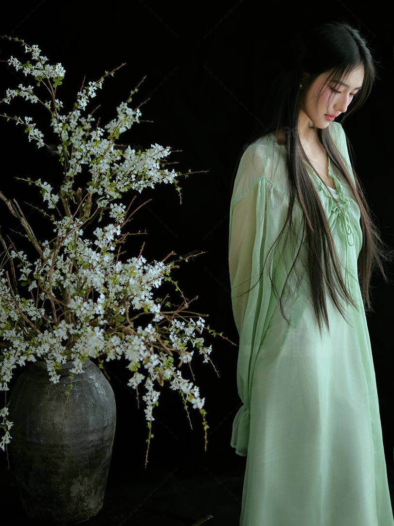 Groene jurk in Chinese stijl T - Ethnic Fashion Studio recensie en prijs